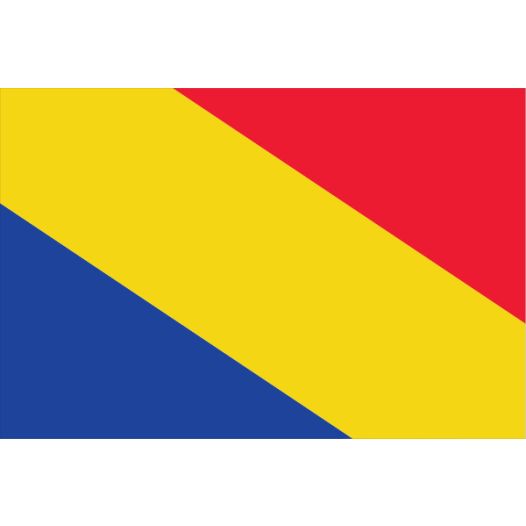 Vlag Rheden 50x75cm