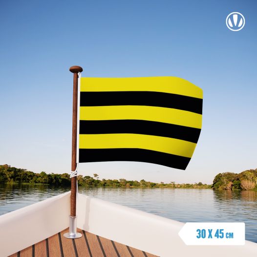 Vlag Schiedam 30x45cm