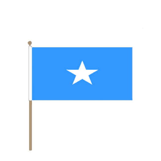 Zwaaivlag Somalië 30x45cm | Stof