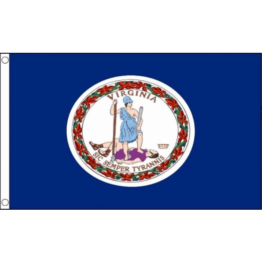 Vlag Virginia 90x150cm | Best Value