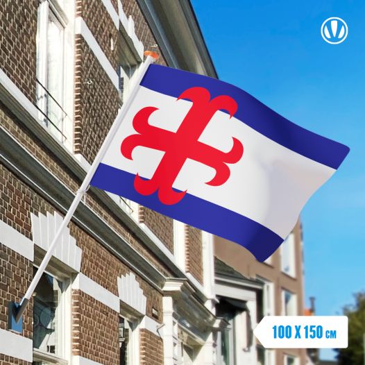 Vlag Zutphen 100x150cm