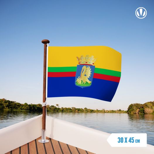 Vlag Appingedam met Wapen 30x45cm