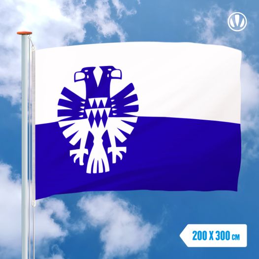 Vlag Arnhem 200x300cm