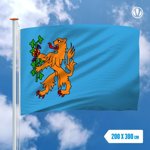 Vlag Brummen 200x300cm