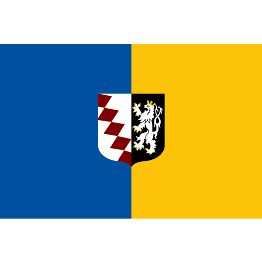 Vlag Buggenhout 100x150cm