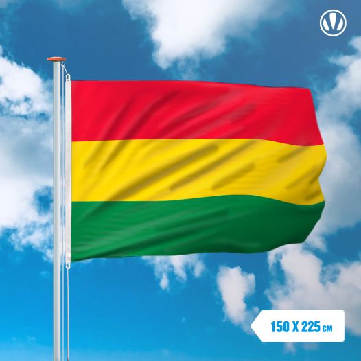 Vlag Carnaval Limburg 150x225cm - Spunpoly