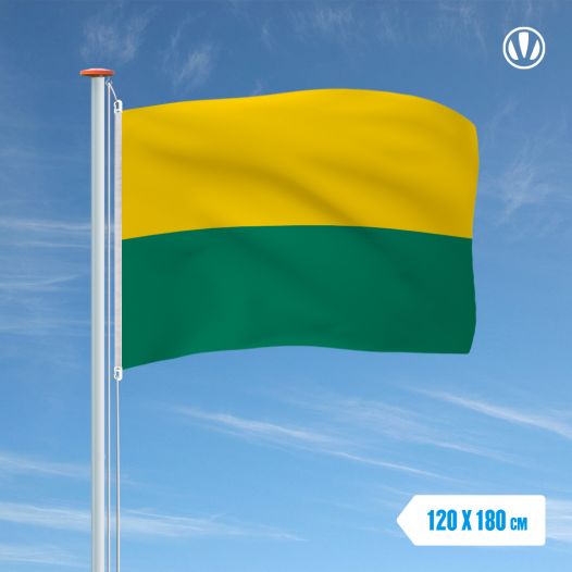 Vlag Den Haag 120x180cm