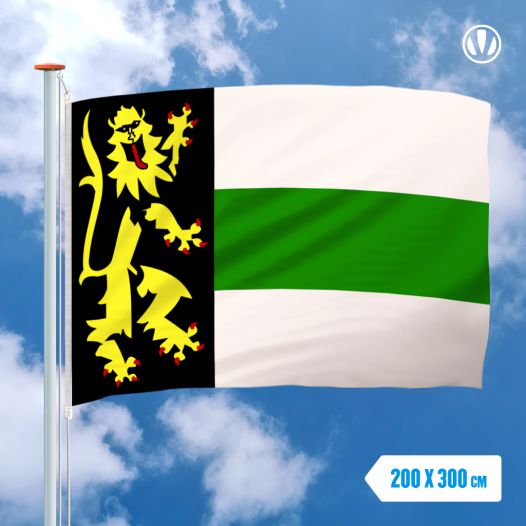 Vlag Druten 200x300cm