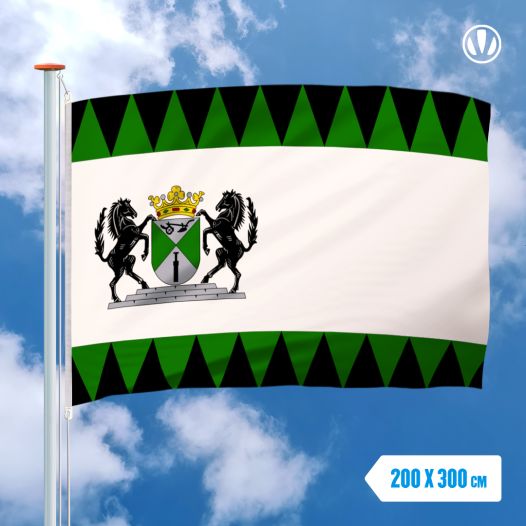 Vlag Emmen 200x300cm