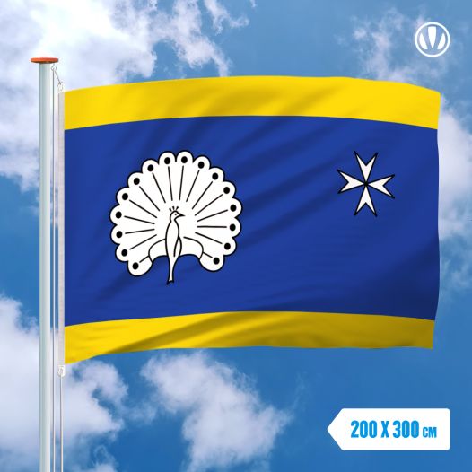 Vlag Ermelo 200x300cm