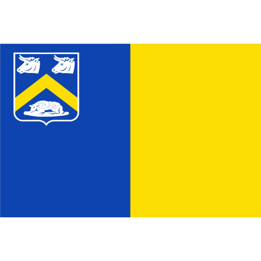 Vlag Essen 70x100cm