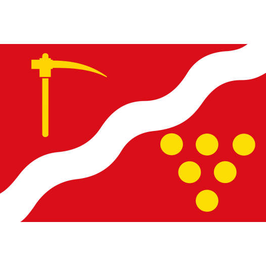 Vlag Flémalle 70x100cm