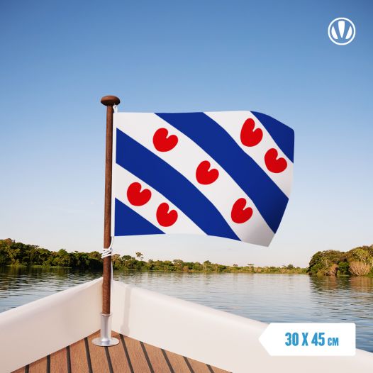 Friese vlag 30x45cm