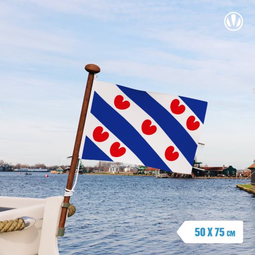 Friese vlag 50x75cm