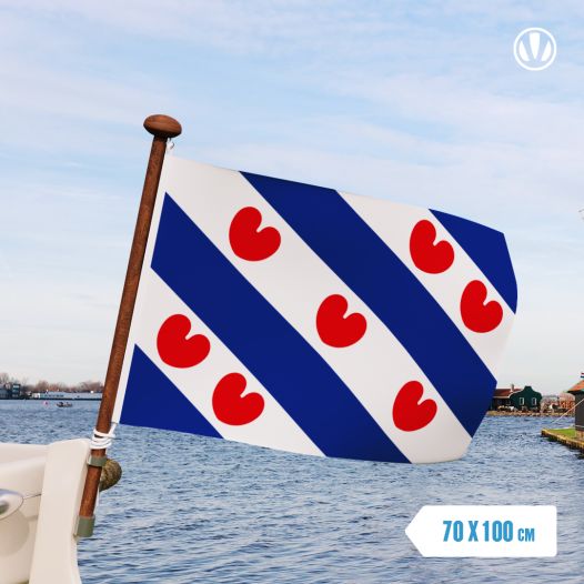 Friese vlag 70x100cm