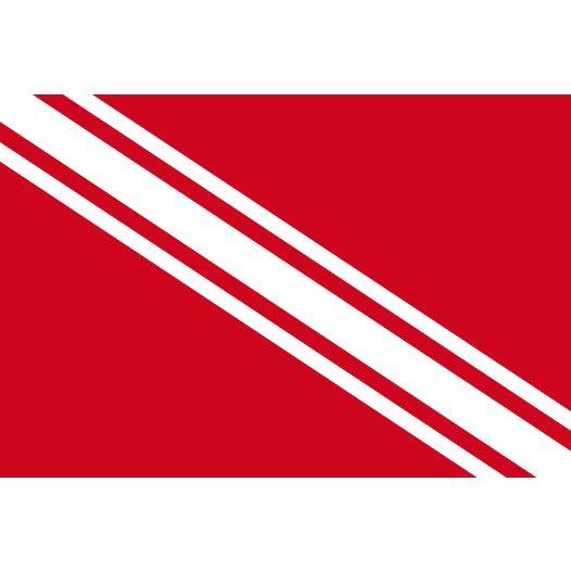 Vlag Gedinne 70x100cm