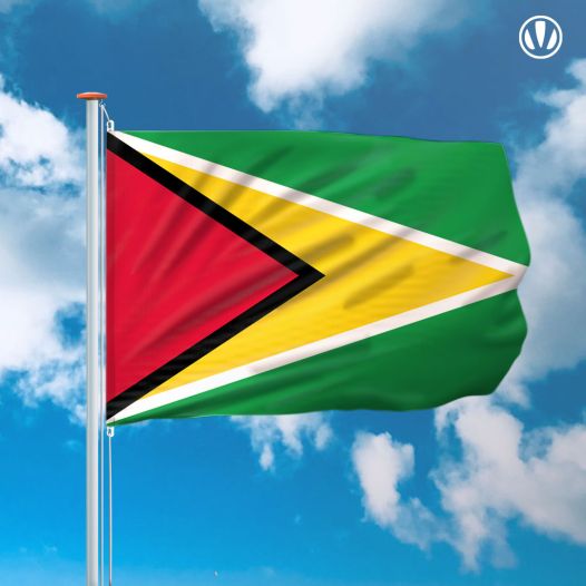 vlag Guyana 150x225cm - Spunpoly