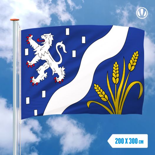 Vlag Haarlemmermeer 200x300cm