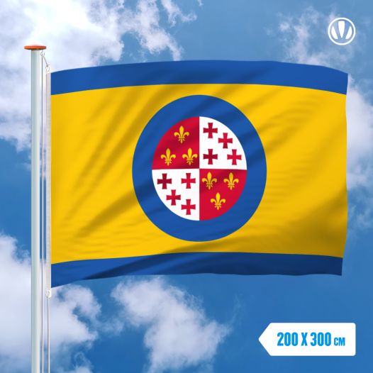 Vlag Harlingen 200x300cm