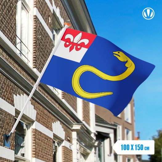 Vlag Heeg Populair 100x150cm