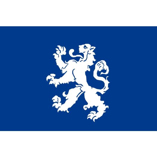 Vlag Heemskerk 30x45cm