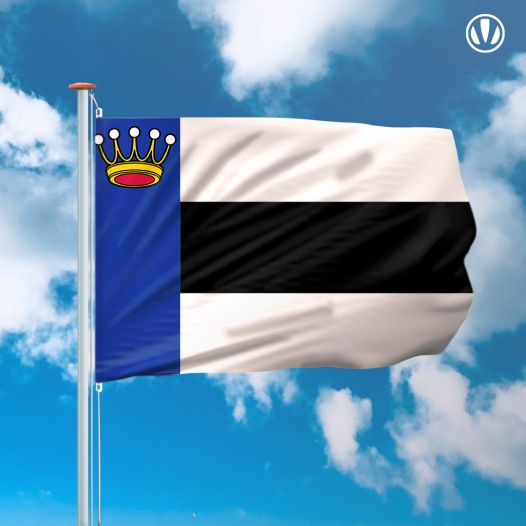 Vlag Heerenveen 150x225cm