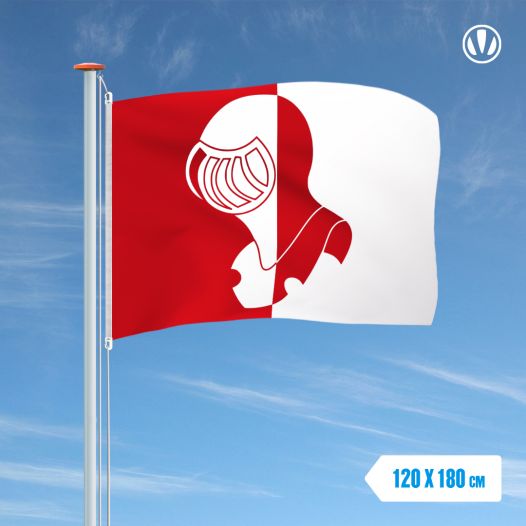 Vlag Helmond 120x180cm