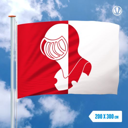 Vlag Helmond 200x300cm