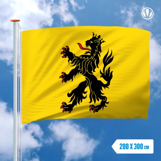 Vlag Hulst 200x300cm