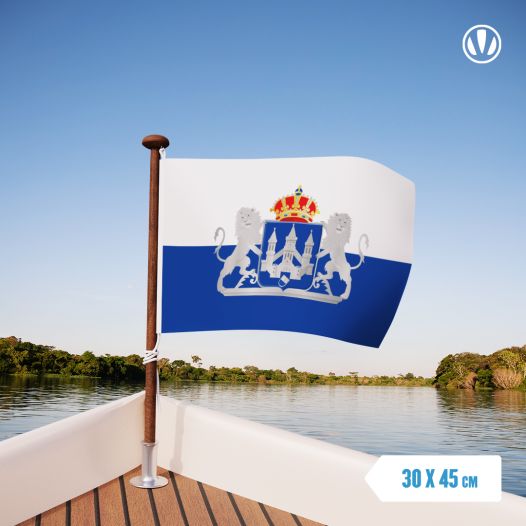 Vlag Kampen met Wapen 30x45cm