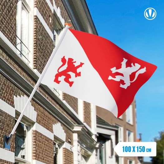 Vlag Koog aan de Zaan 100x150cm