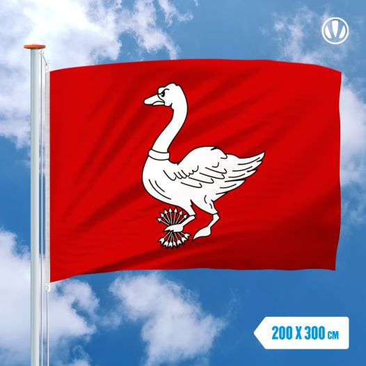 Vlag Landsmeer 200x300cm