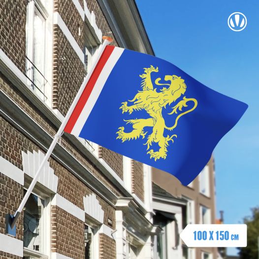 Vlag Leeuwarden 100x150cm