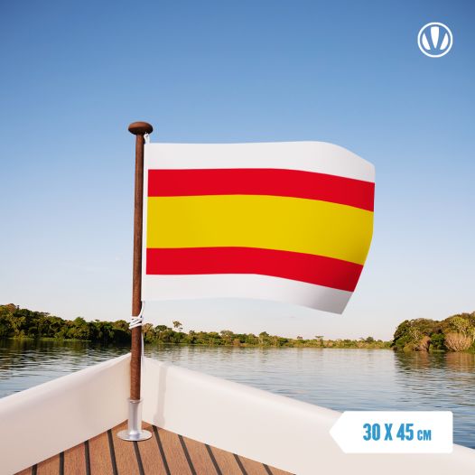 Vlag Lemmer 30x45cm - Spunpoly