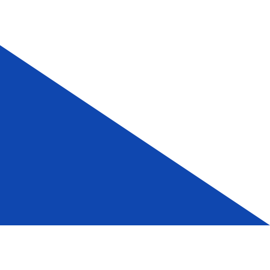 Vlag Leuze-en-Hainaut 70x100cm