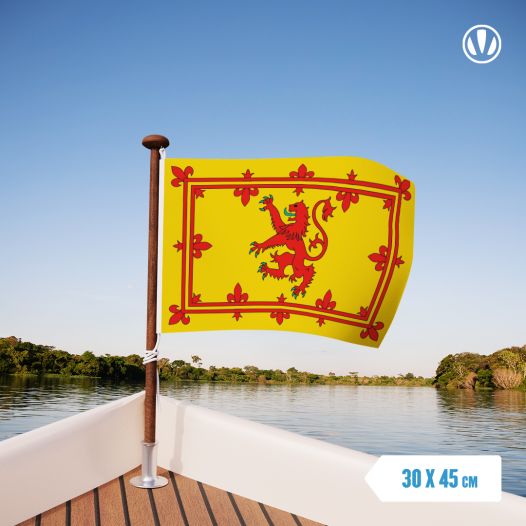 Vlag Schotland - Lion Rampant 30x45cm