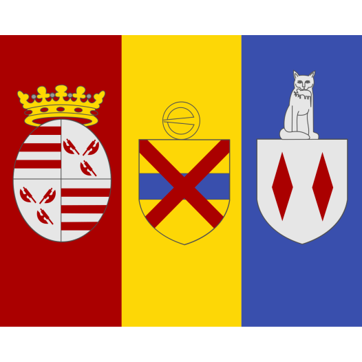 Vlag Londerzeel 70x100cm