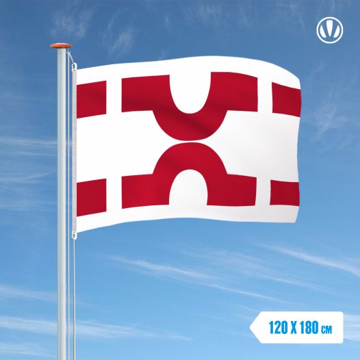 Vlag Losser 120x180cm