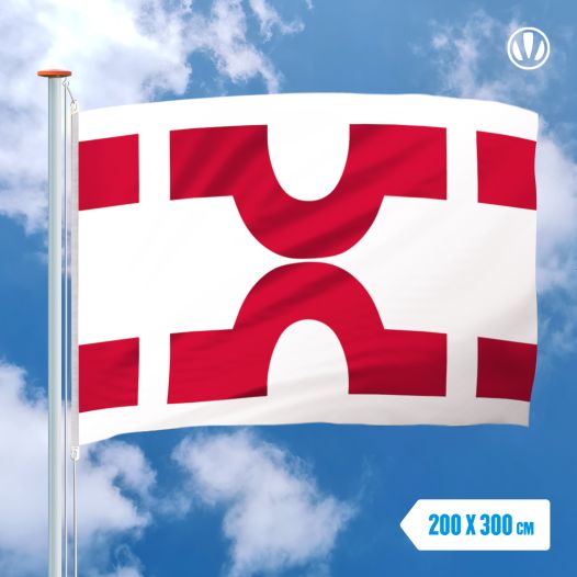 Vlag Losser 200x300cm