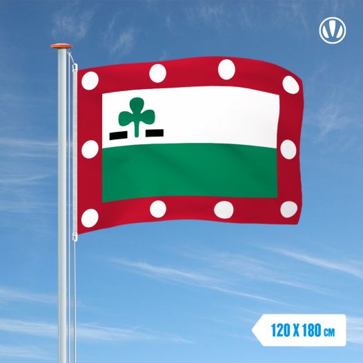 Vlag Meppel 120x180cm