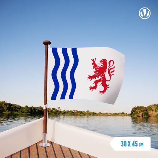 Vlag Nouvelle-Aquitaine 30x45cm