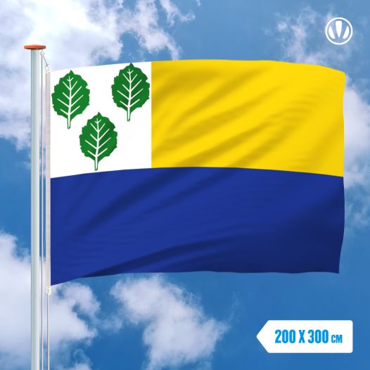 Vlag Oldebroek 200x300cm