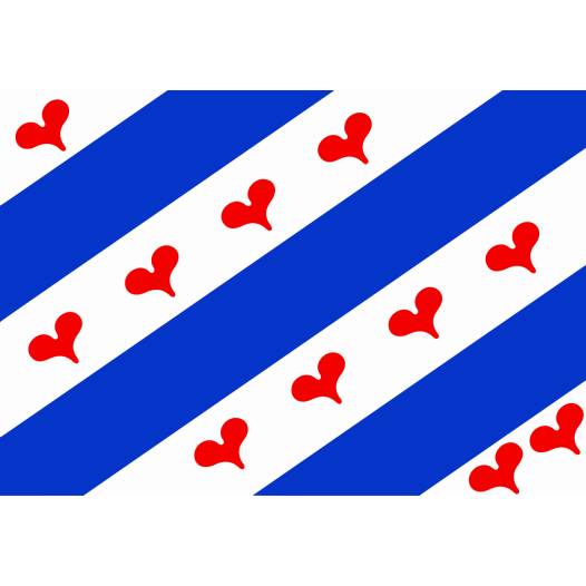 Vlag Ommelanden 50x75cm