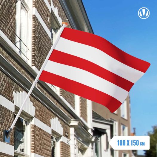 Vlag Oostergo 100x150cm