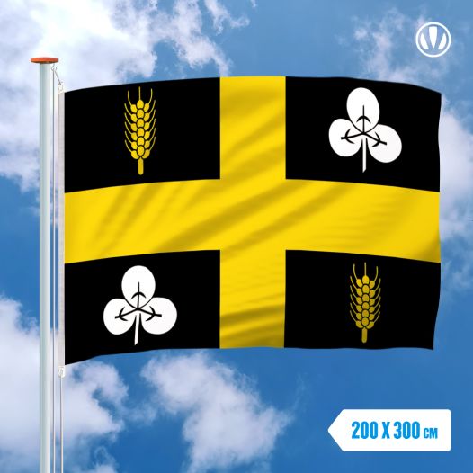 Vlag Raalte 200x300cm