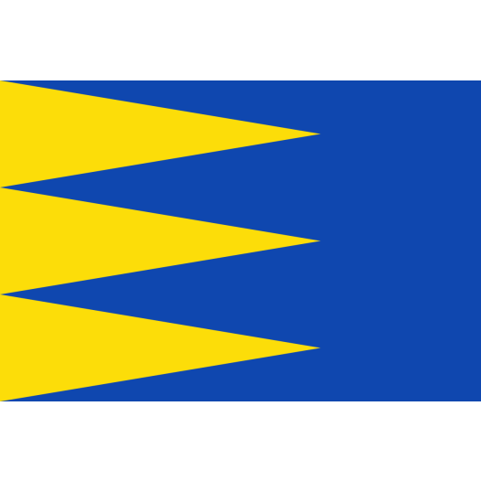 Vlag Ravels 70x100cm