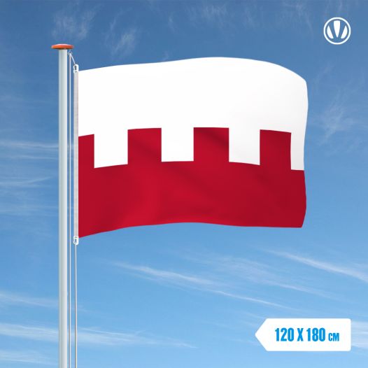 Vlag Rhenen 120x180cm