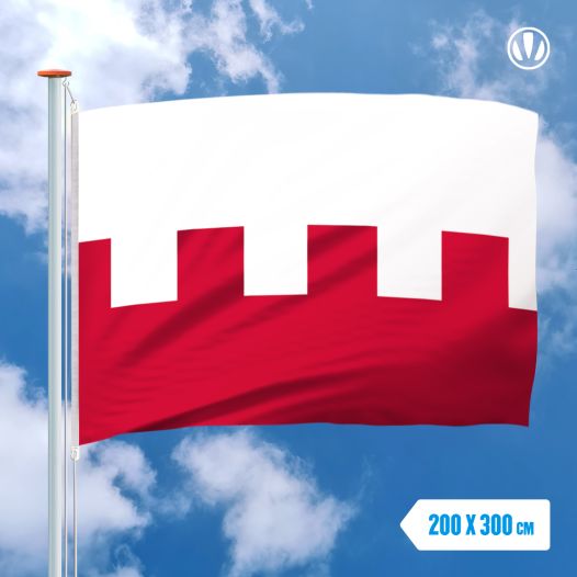 Vlag Rhenen 200x300cm