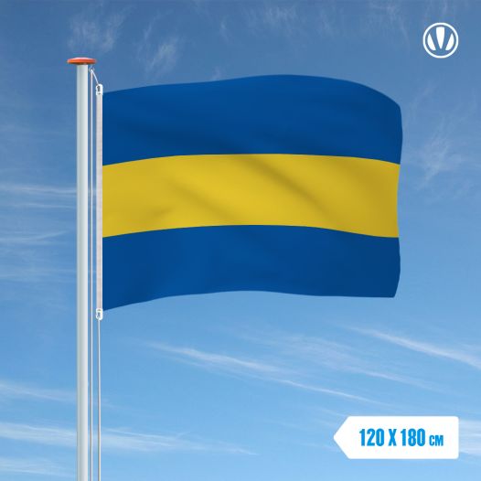 Vlag Rijswijk 120x180cm