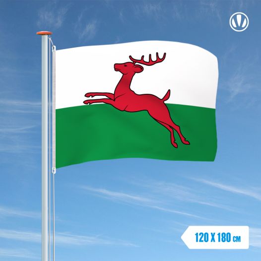 Vlag Smallingerland 120x180cm